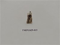 藏品(梯刺蛾)的圖片